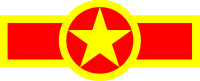 Vietnam People's Air Force